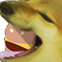 dogburger3