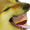 dogburger1