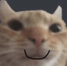 smileyshirocat