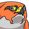 BraveBirdStare