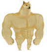 dogeSwole