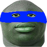 c_nigaardo