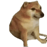 c_hornyBonk2