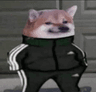 IA_Dogesweg