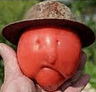 LarryTomato