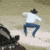 c_yeehaw