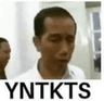 wp_yntkts