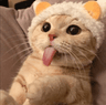 cat_bleh