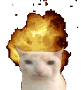 BruhCatSexFast