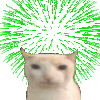 BruhCatFireworks