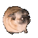 dancingpug