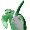turtle_slap