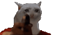 catShoot