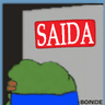 saidaBonde