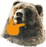 bearThink