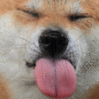 ft1_lick