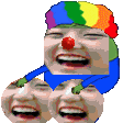 bongo