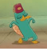 perrythefuckingplatypus