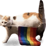 CatPride