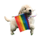 DogPride