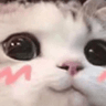 catuwu