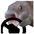 fishSTEER