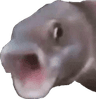 Fishoggie