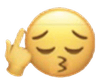 y_crashoggie