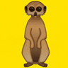 meerkat