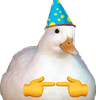 birthdayduck