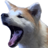 SaiAHHHH