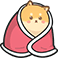 dCozy