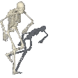 SkeletonPls