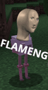 flameng