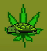 turtle_420