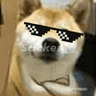 thug_doge_kya_be_lawde