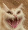 AAAAAAAAAAAAAAAAAAAAA