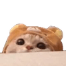 cattolurk