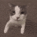 cattokisskiss