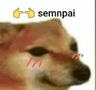 Semnpai