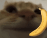 JP_BananaPhone