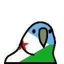 5574_djiboutiparrot