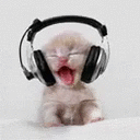 4040babycatjam