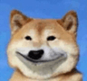 733753766096142367