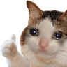 catok
