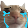 catcrying