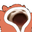 itai