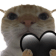 catHeart