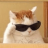 coolcat