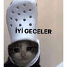 iyimigeceler